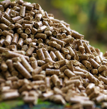 Fertilizer Pellets