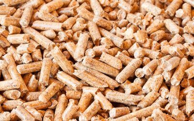 Wie wählt man die richtigen Holzpellets für die Heizung aus? | Proxipel