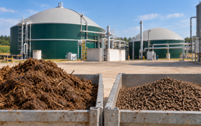 Digestat de méthanisation : comment le sécher et le transformer en pellet pour mieux le valoriser ?